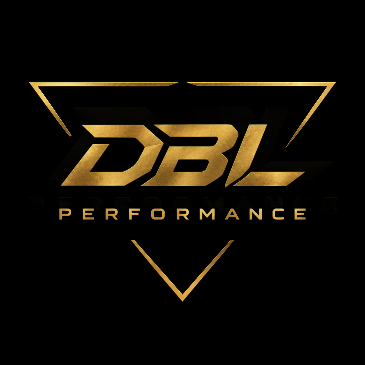 DBL Performance